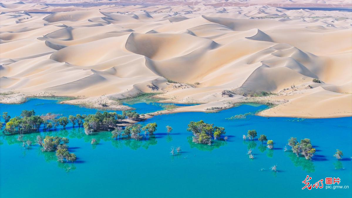 Jinsha River attracts tourists in NW China's Xinjiang