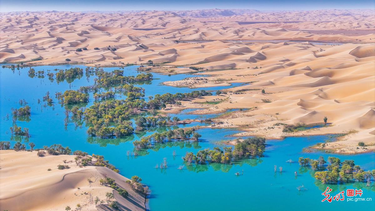 Jinsha River attracts tourists in NW China's Xinjiang
