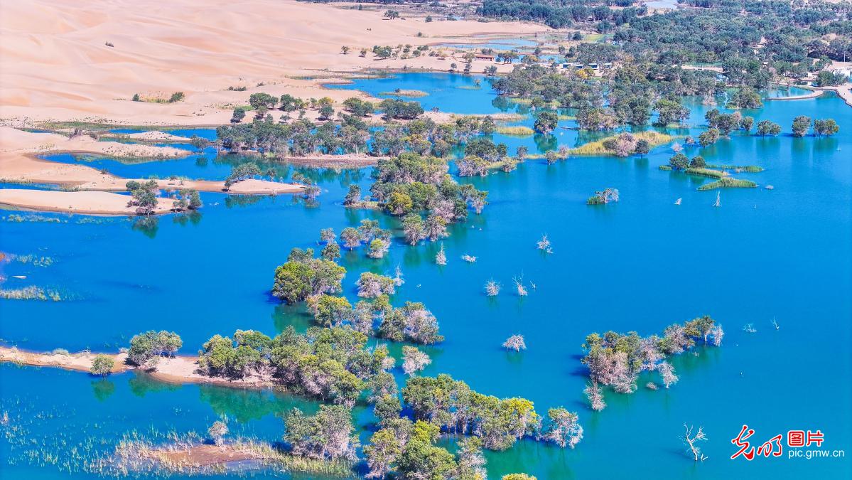 Jinsha River attracts tourists in NW China's Xinjiang