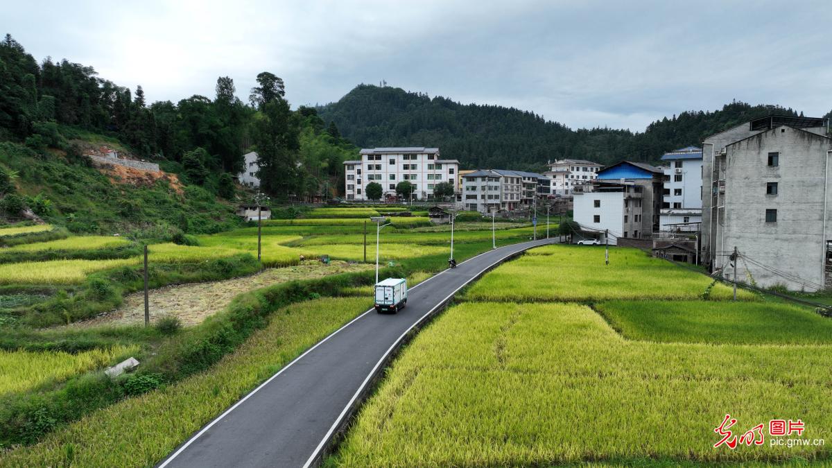 Smart unmanned delivery vehicles serve rural areas in SW China's Guizhou Smart unmanned delivery vehicles serve rural areas in SW China's Guizhou