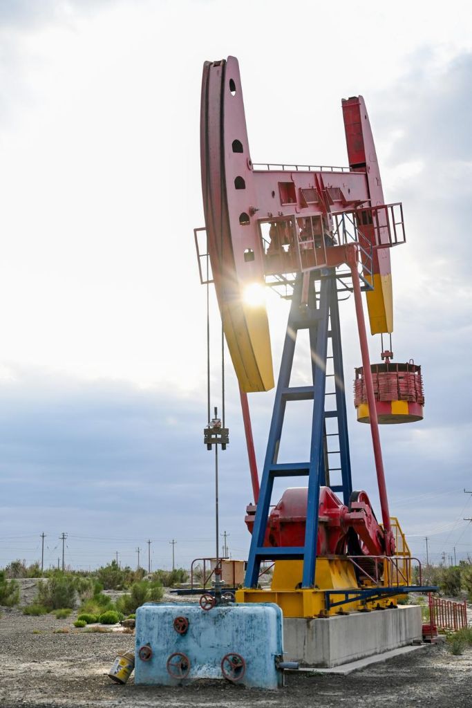 China's Xinjiang accelerates green, smart energy transition