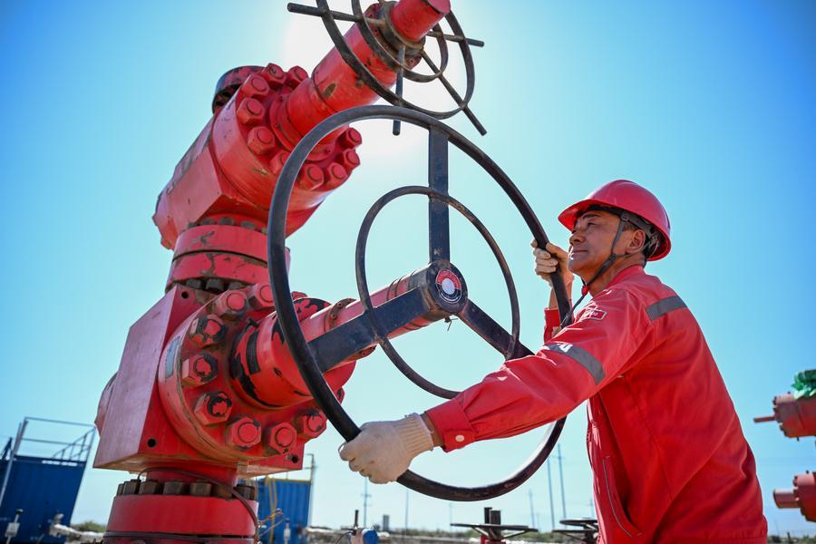 China's Xinjiang accelerates green, smart energy transition