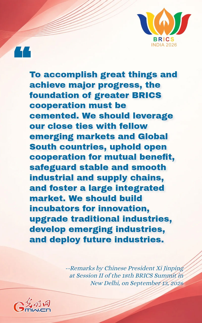 Posters: Cementing the Foundation for BRICS Cooperation and Bolstering the Strength of the Global South