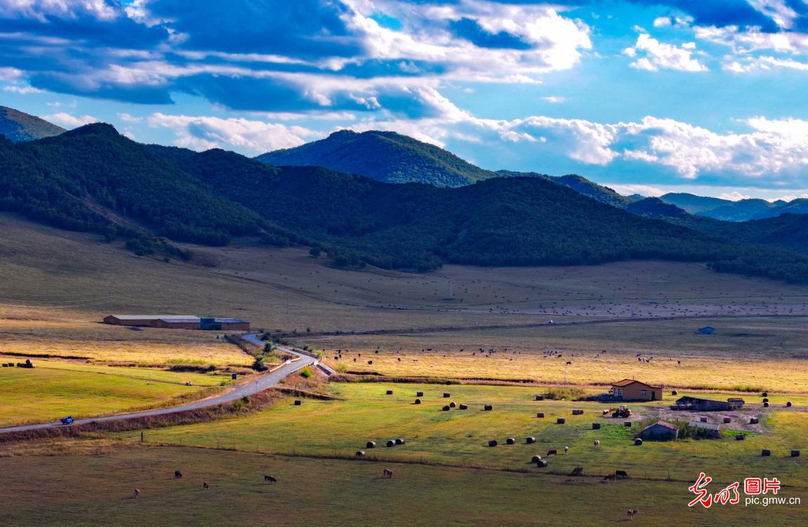 Autumn paints the grasslands in vibrant hues