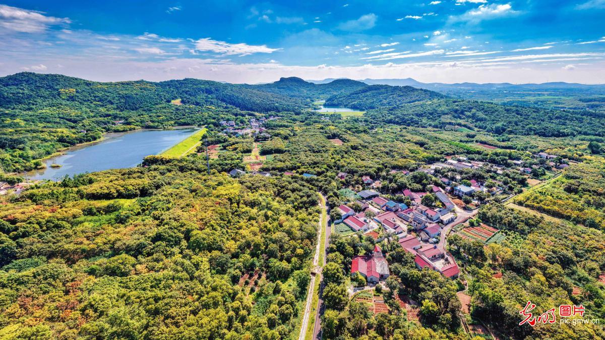 Picturesque autumn countryside in E China's Jiangsu Picturesque autumn countryside in E China's Jiangsu