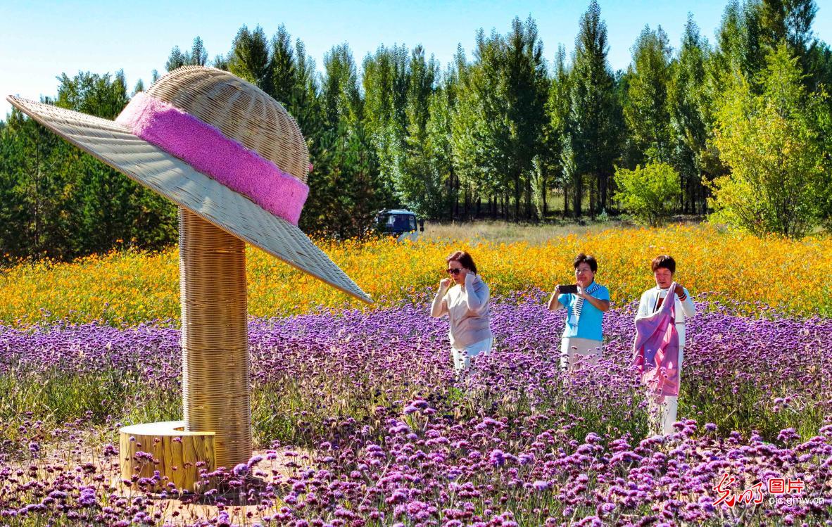 Flower sea attracts visitors in N China's Inner Mongolia Flower sea attracts visitors in N China's Inner Mongolia