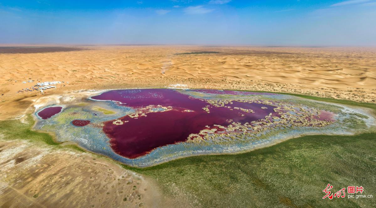 Ulan Lake creates a stunning scene in the Tengger Desert, N China's Inner Mongolia Ulan Lake creates a stunning scene in the Tengger Desert, N China's Inner Mongolia