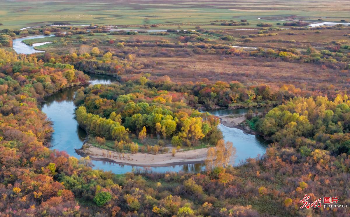Autumn colors paint a stunning picture of Ergun Wetland in N China's Inner Mongolia Autumn colors paint a stunning picture of Ergun Wetland in N China's Inner Mongolia