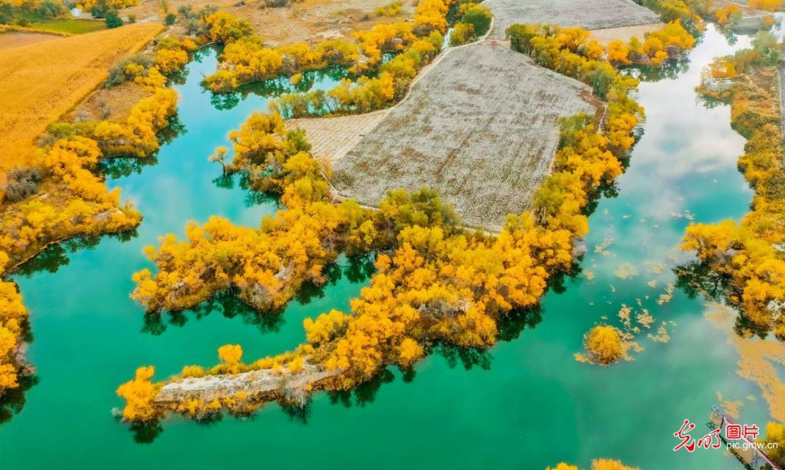 Autumn colors adorn Kizilgal Lake in NW China's Xinjiang Autumn colors adorn Kizilgal Lake in NW China's Xinjiang