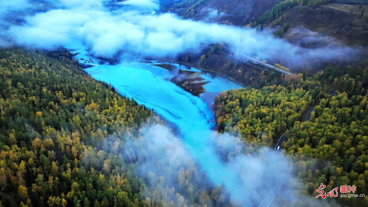 Autumn mist creates a dreamy scene in NW China's Xinjiang Autumn mist creates a dreamy scene in NW China's Xinjiang