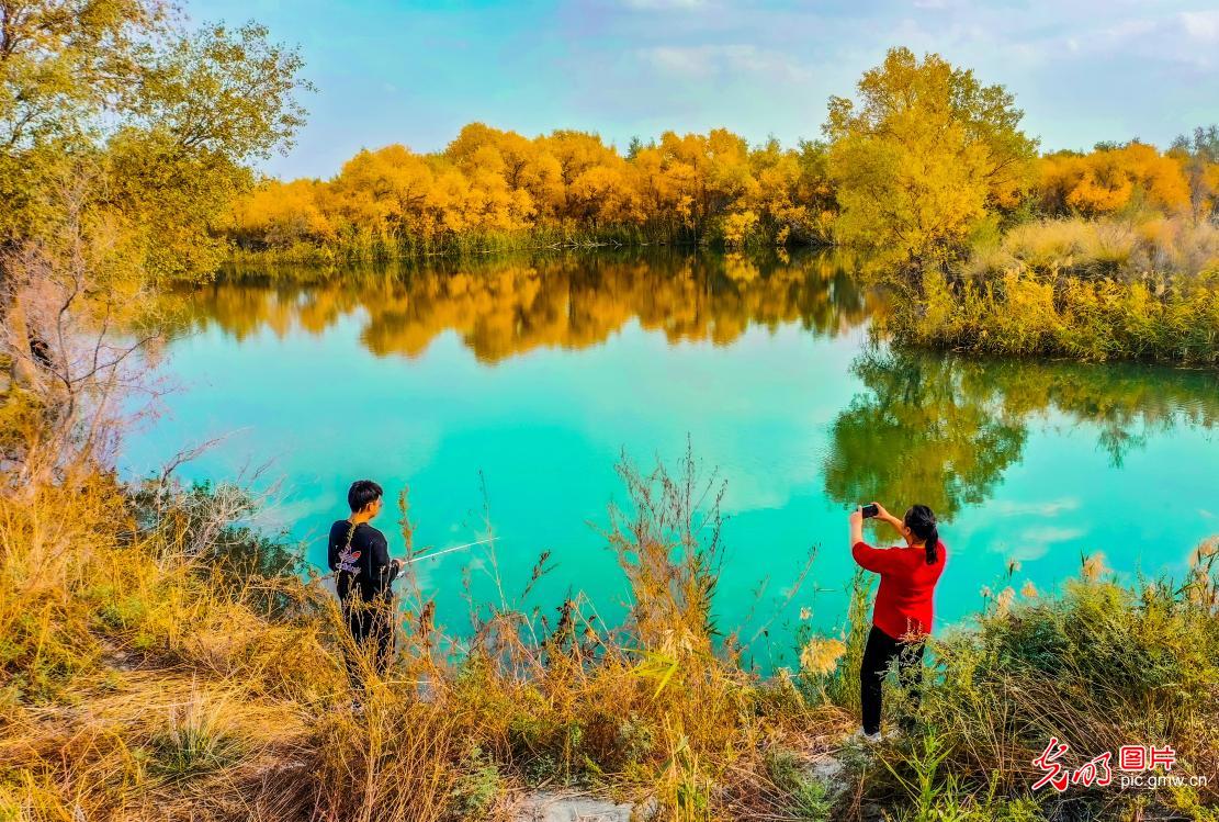 Autumn colors adorn Kizilgal Lake in NW China's Xinjiang Autumn colors adorn Kizilgal Lake in NW China's Xinjiang