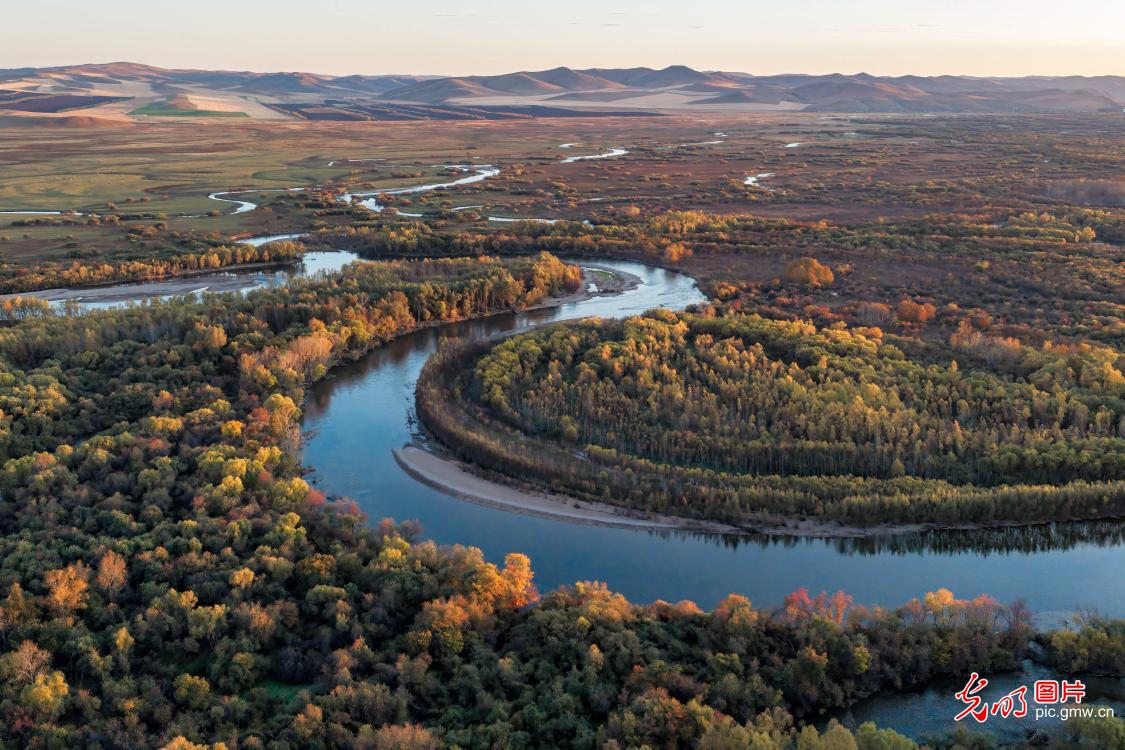 Autumn colors paint a stunning picture of Ergun Wetland in N China's Inner Mongolia Autumn colors paint a stunning picture of Ergun Wetland in N China's Inner Mongolia