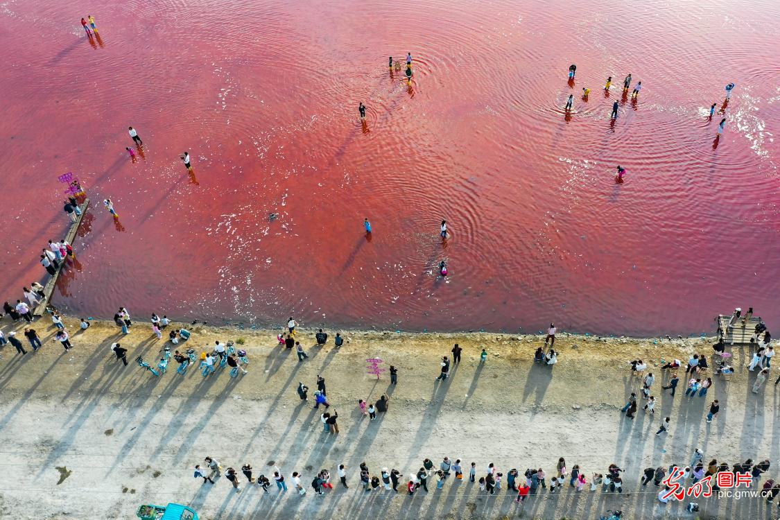 Tourists enjoy holiday fun at colorful salt lake in N China's Shanxi Tourists enjoy holiday fun at colorful salt lake in N China's Shanxi