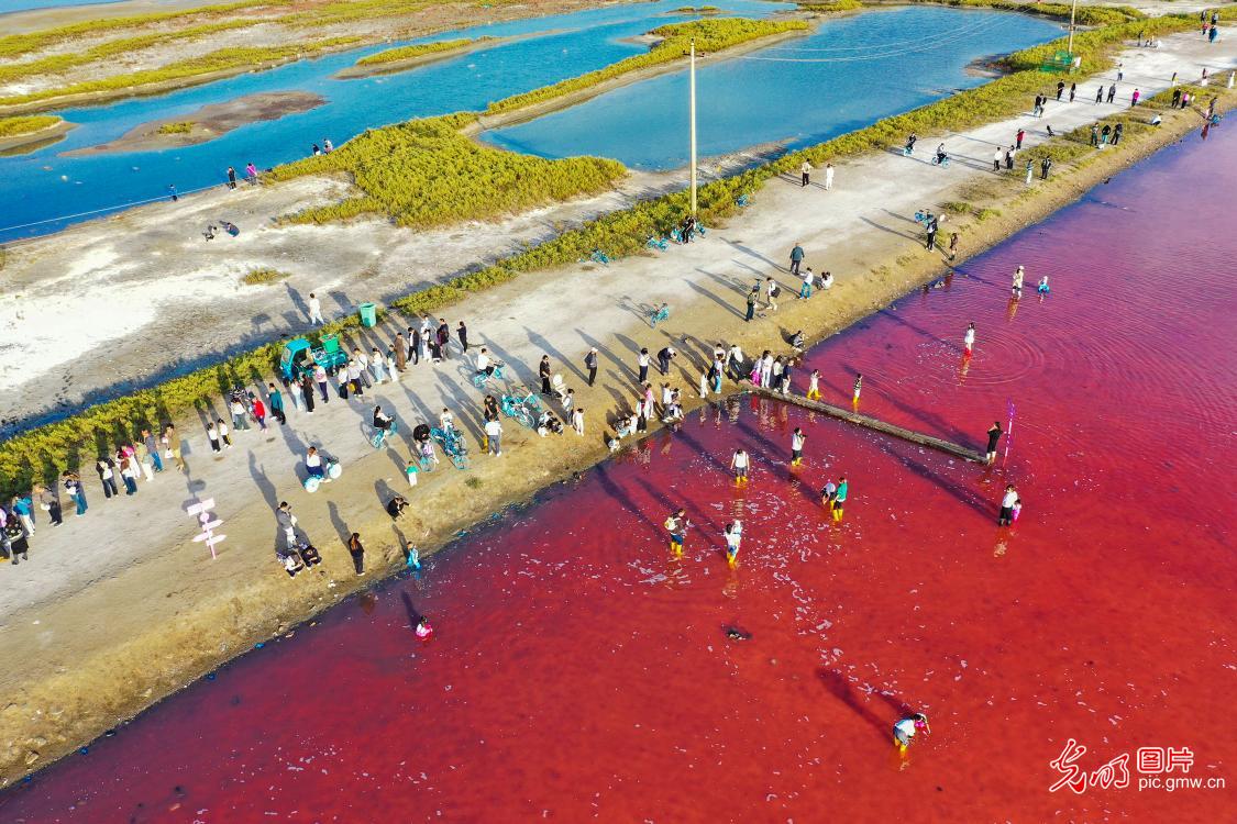 Tourists enjoy holiday fun at colorful salt lake in N China's Shanxi Tourists enjoy holiday fun at colorful salt lake in N China's Shanxi