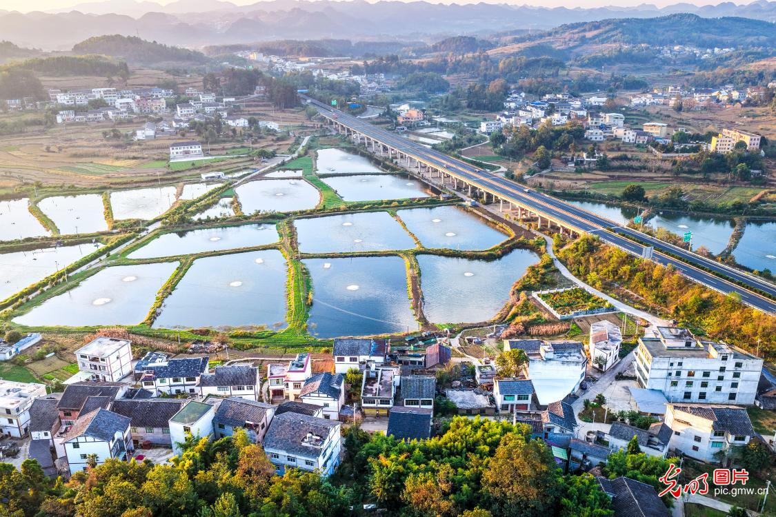 Fish ponds and fields paint rural revitalization canvas in SW China's Guizhou Fish ponds and fields paint rural revitalization canvas in SW China's Guizhou