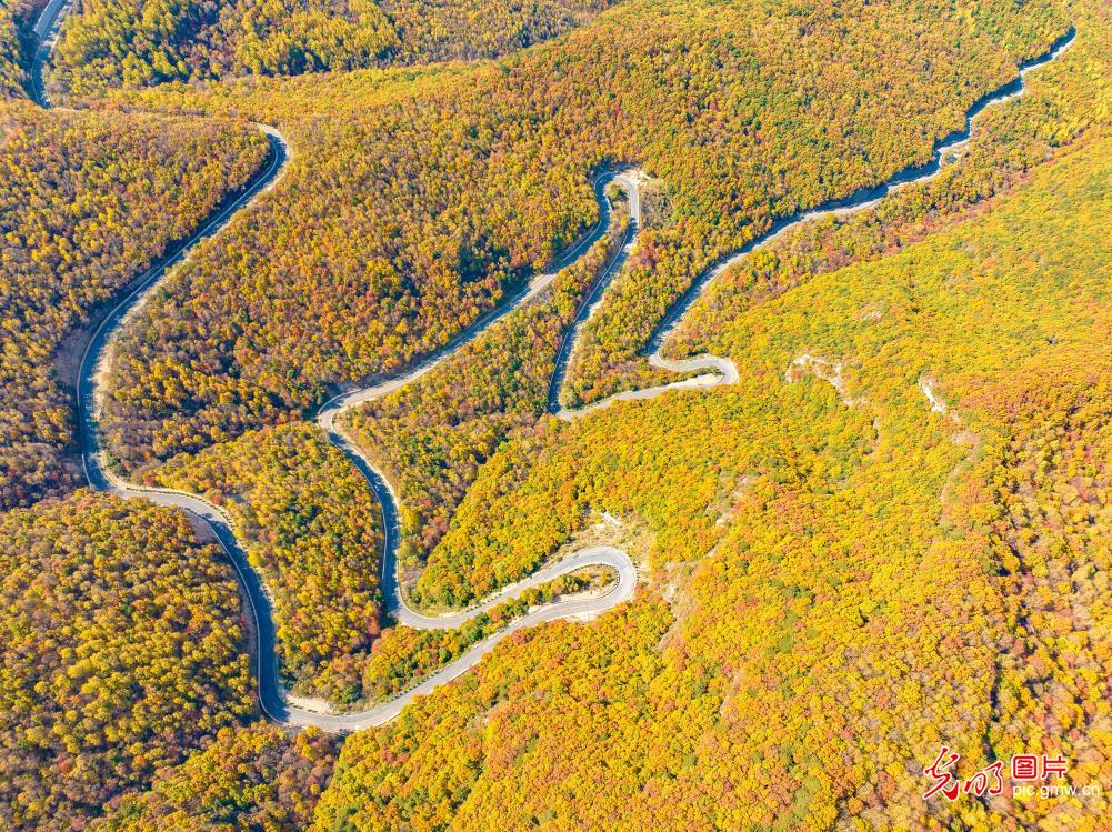 Road winds through autumn Taihang Mountains in N China's Shanxi Road winds through autumn Taihang Mountains in N China's Shanxi