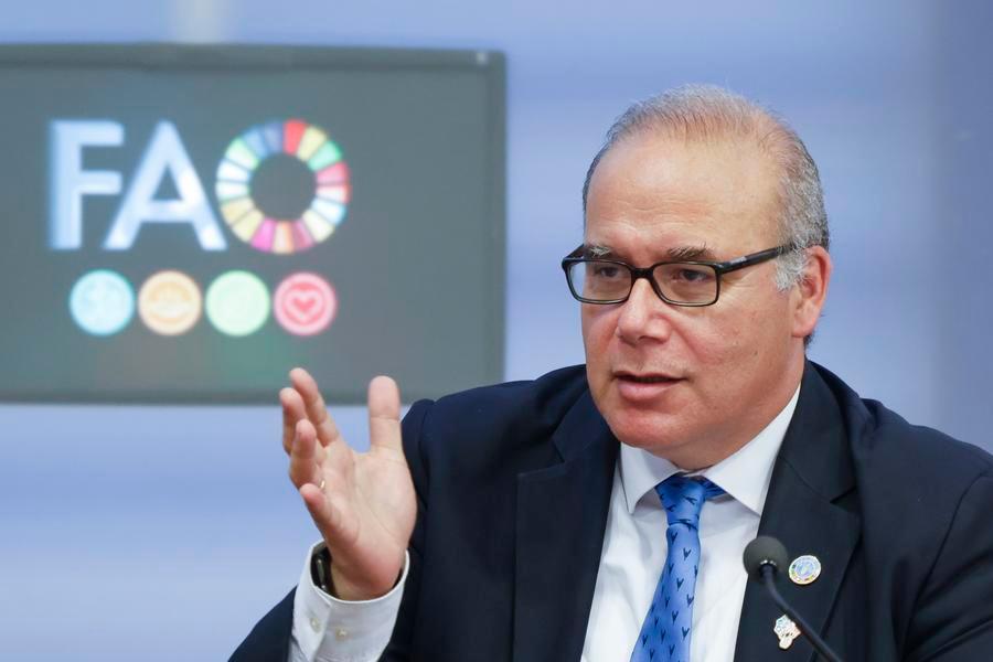 FAO chief economist calls for global cooperation on food security