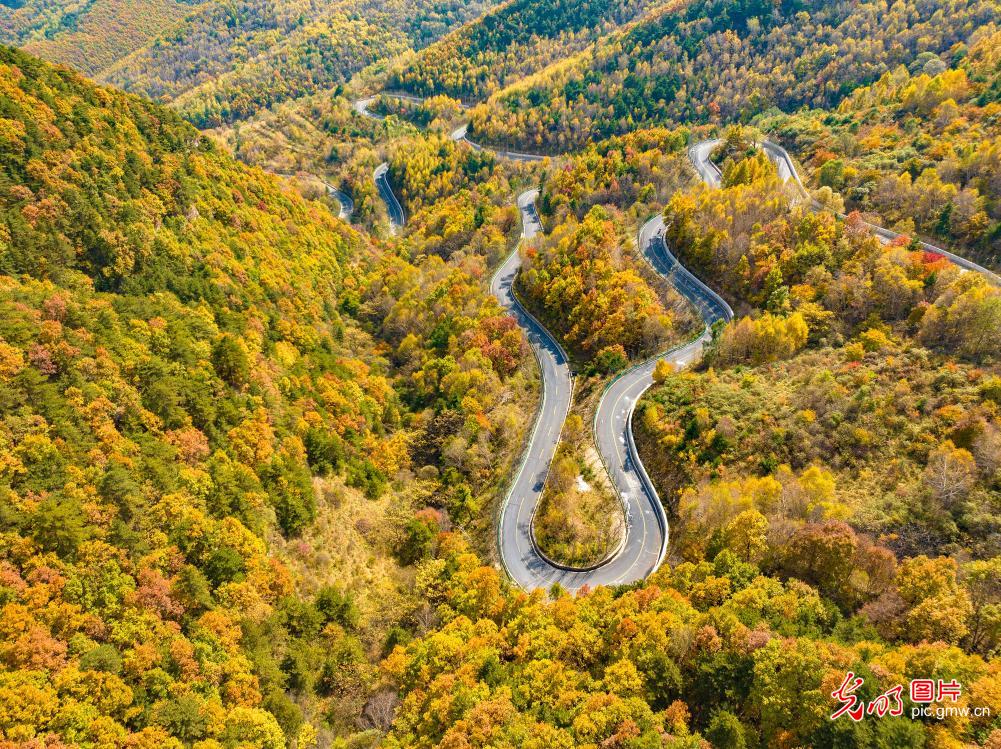 Road winds through autumn Taihang Mountains in N China's Shanxi Road winds through autumn Taihang Mountains in N China's Shanxi