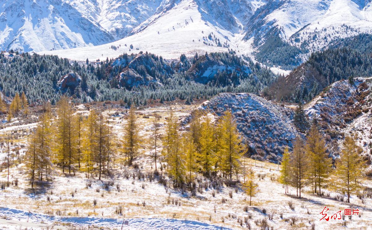First snow blankets NW China's Qilian Mountains
