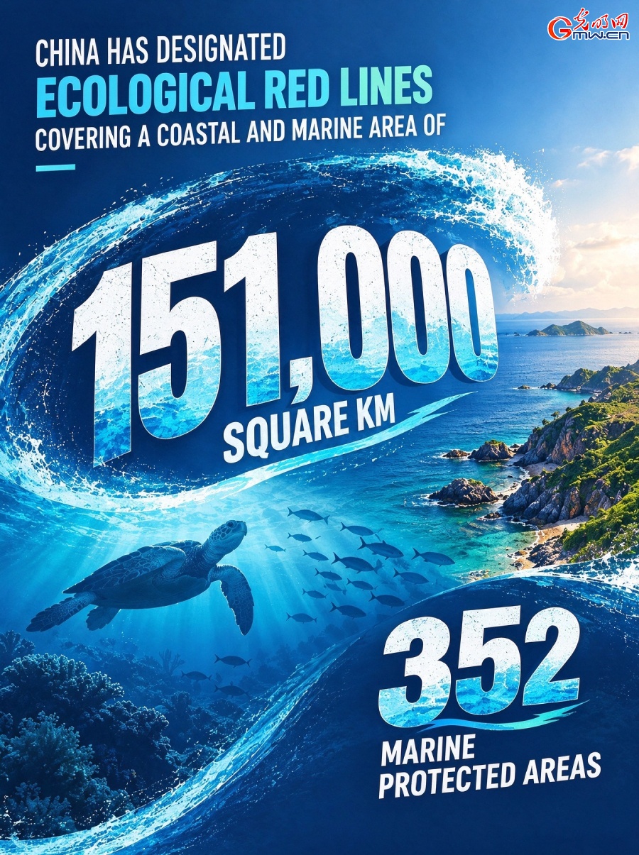 Poster: China advances marine conservation through ecological red lines and mangrove protection