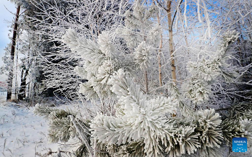 In pics: winter scenery of Minsk, Belarus