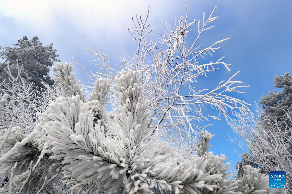 In pics: winter scenery of Minsk, Belarus