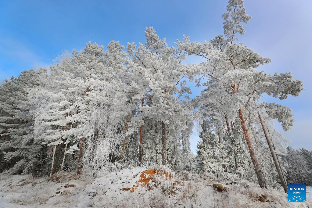 In pics: winter scenery of Minsk, Belarus