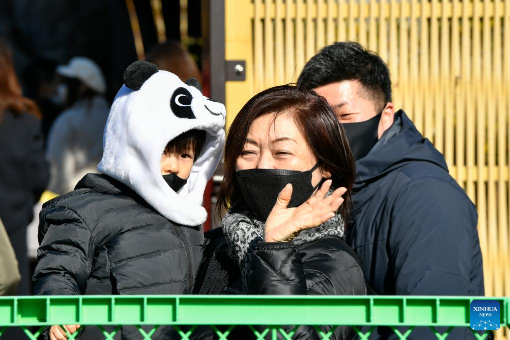 Twin pandas make public debut at Tokyo zoo much to delight of lucky few