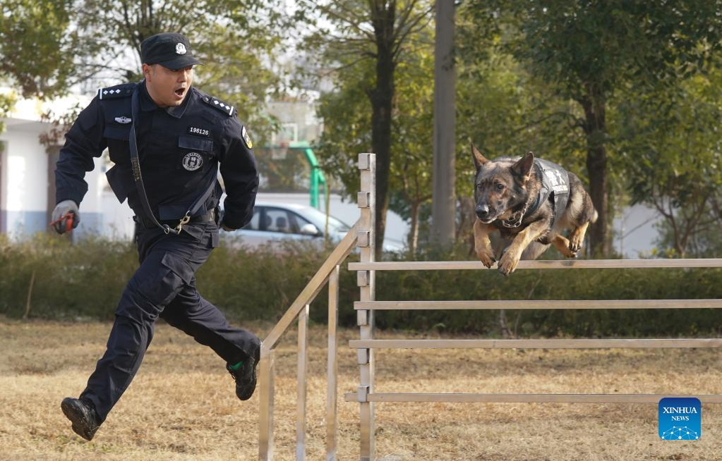 Police dogs in Wuhan trained to ensure safety of passengers during upcoming Spring Festival travel rush