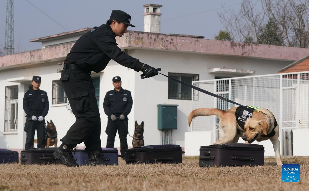 Police dogs in Wuhan trained to ensure safety of passengers during upcoming Spring Festival travel rush