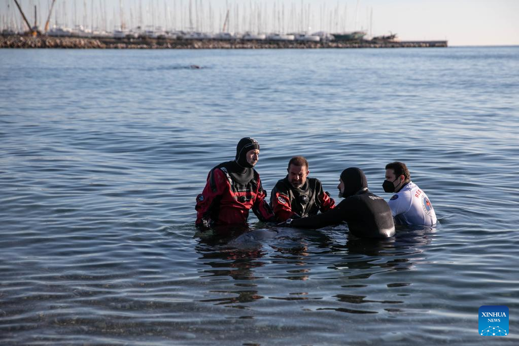 Rescue operation underway for injured whale found on Athens beach