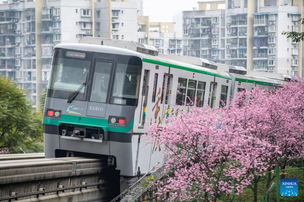 In pics: blooming flowers along Liziba Station of Chongqing Rail Transit Line 2
