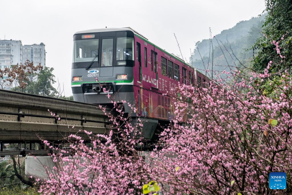 In pics: blooming flowers along Liziba Station of Chongqing Rail Transit Line 2
