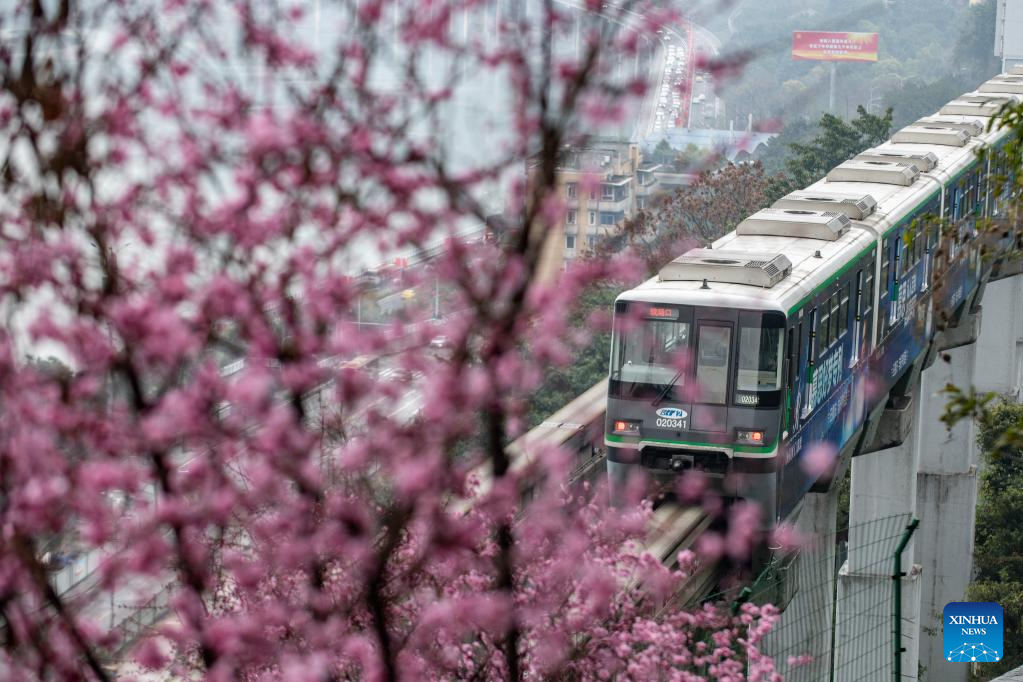 In pics: blooming flowers along Liziba Station of Chongqing Rail Transit Line 2