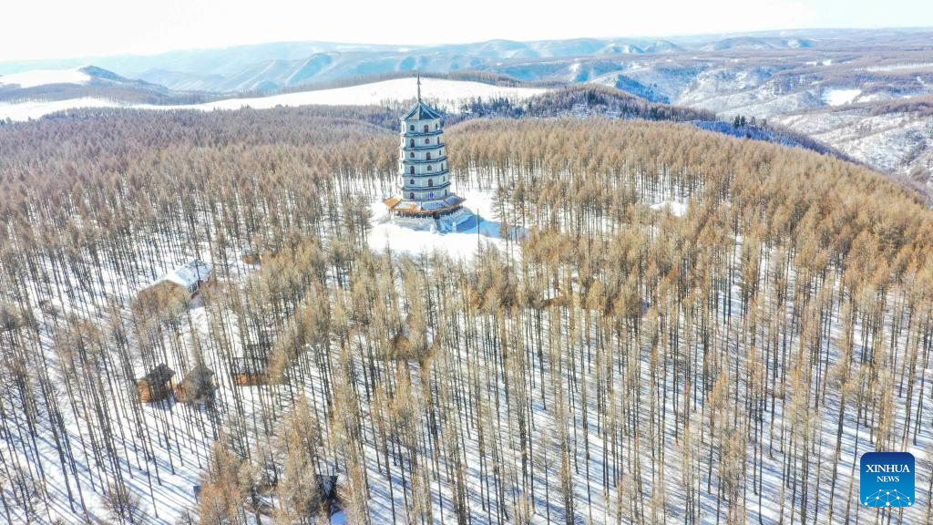 Snow view of Saihanba National Forest Park in north China's Hebei Province