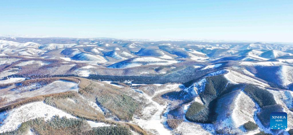 Snow view of Saihanba National Forest Park in north China's Hebei Province