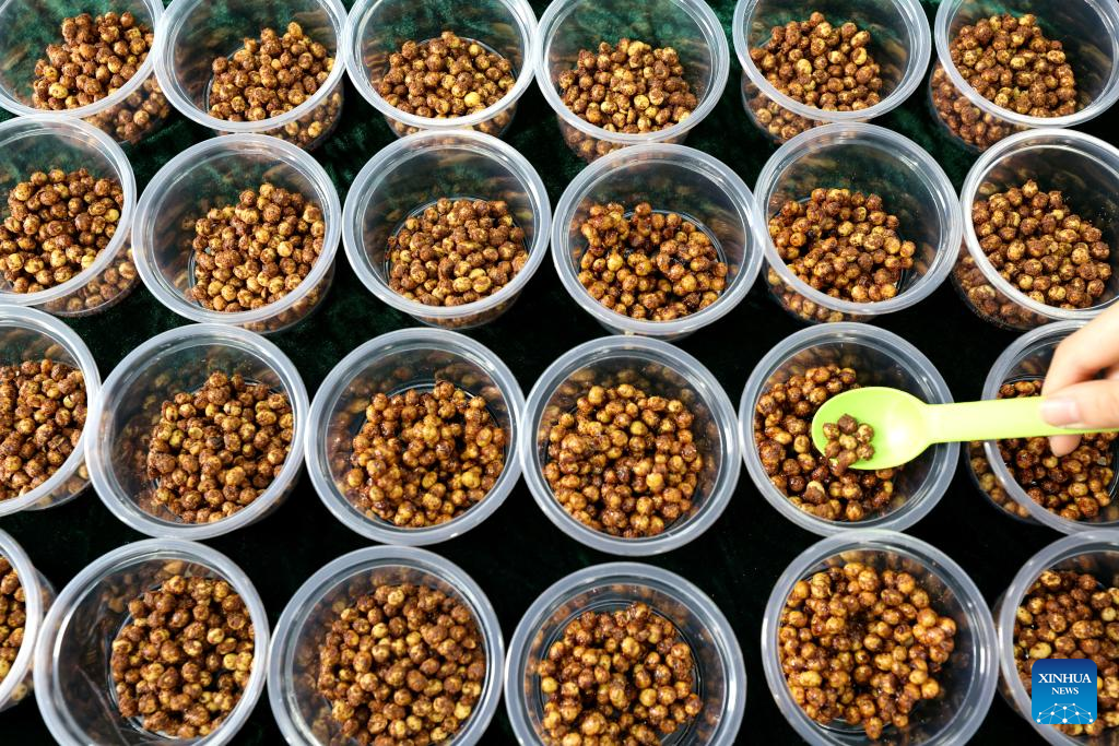 Various activities held across China to greet Longtaitou Day