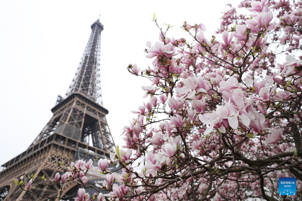 Spring scenery in Paris