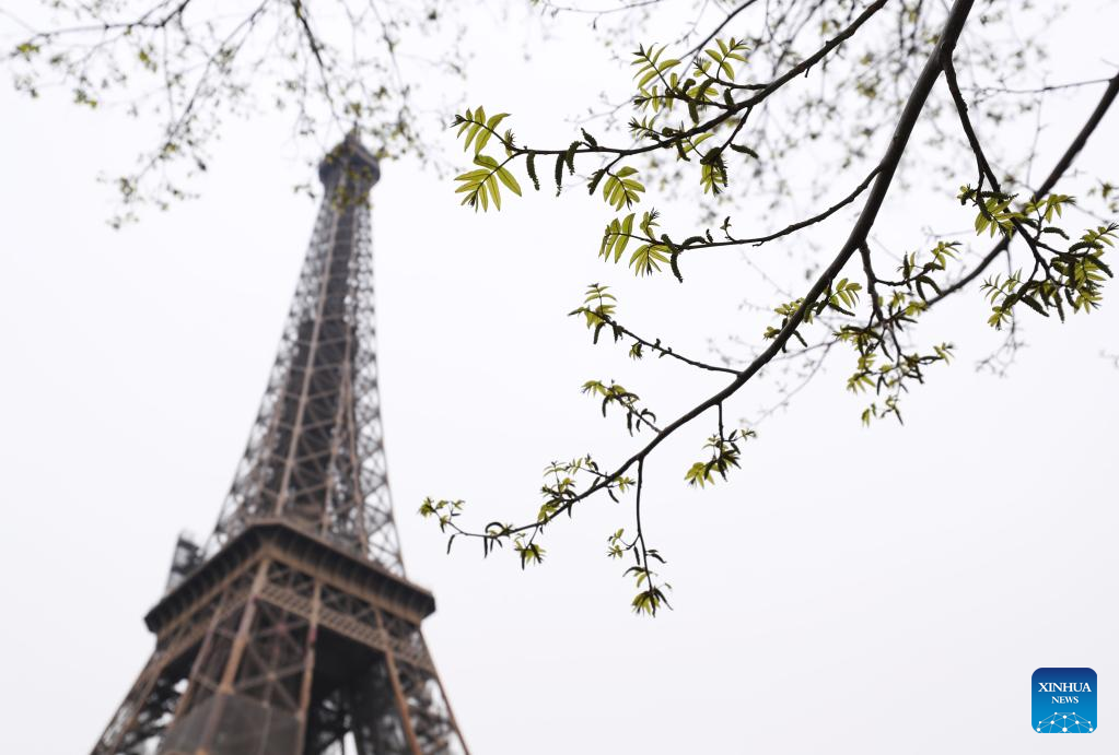 Spring scenery in Paris