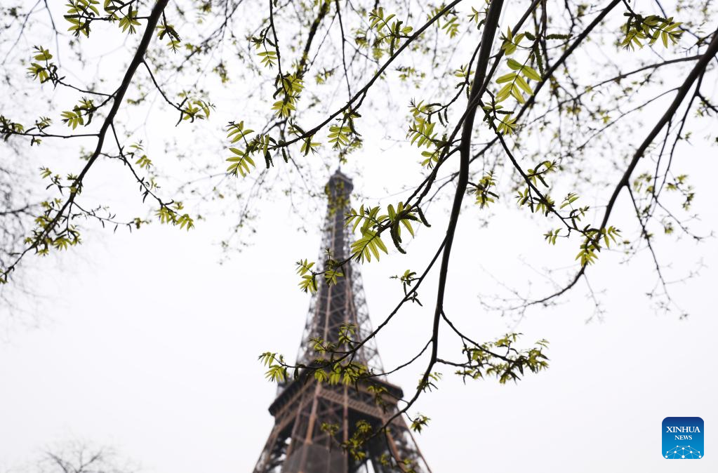 Spring scenery in Paris