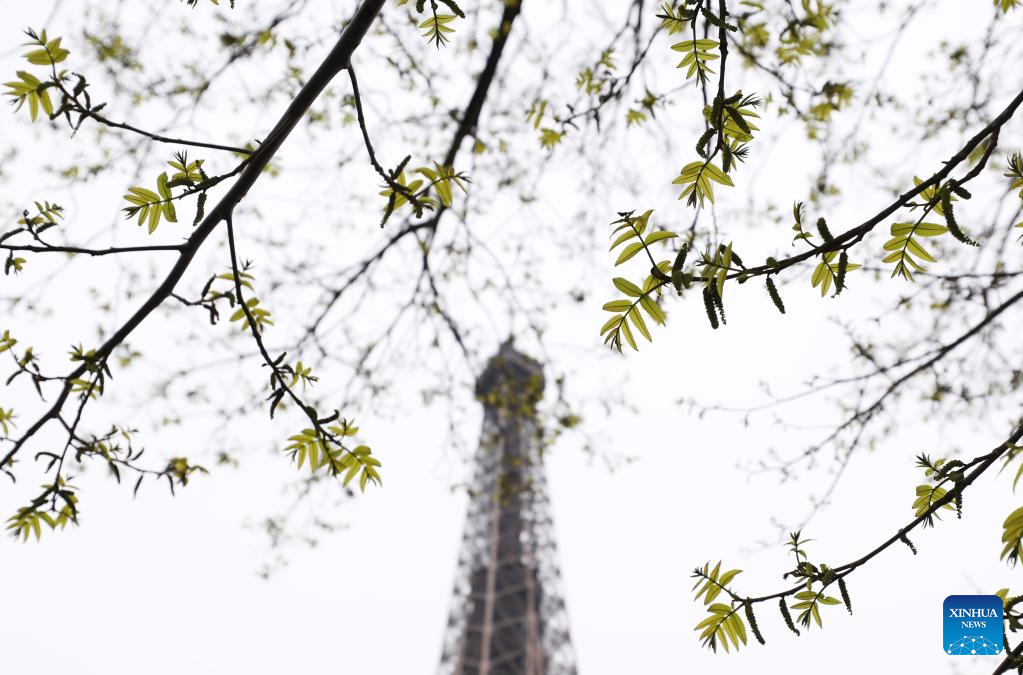 Spring scenery in Paris