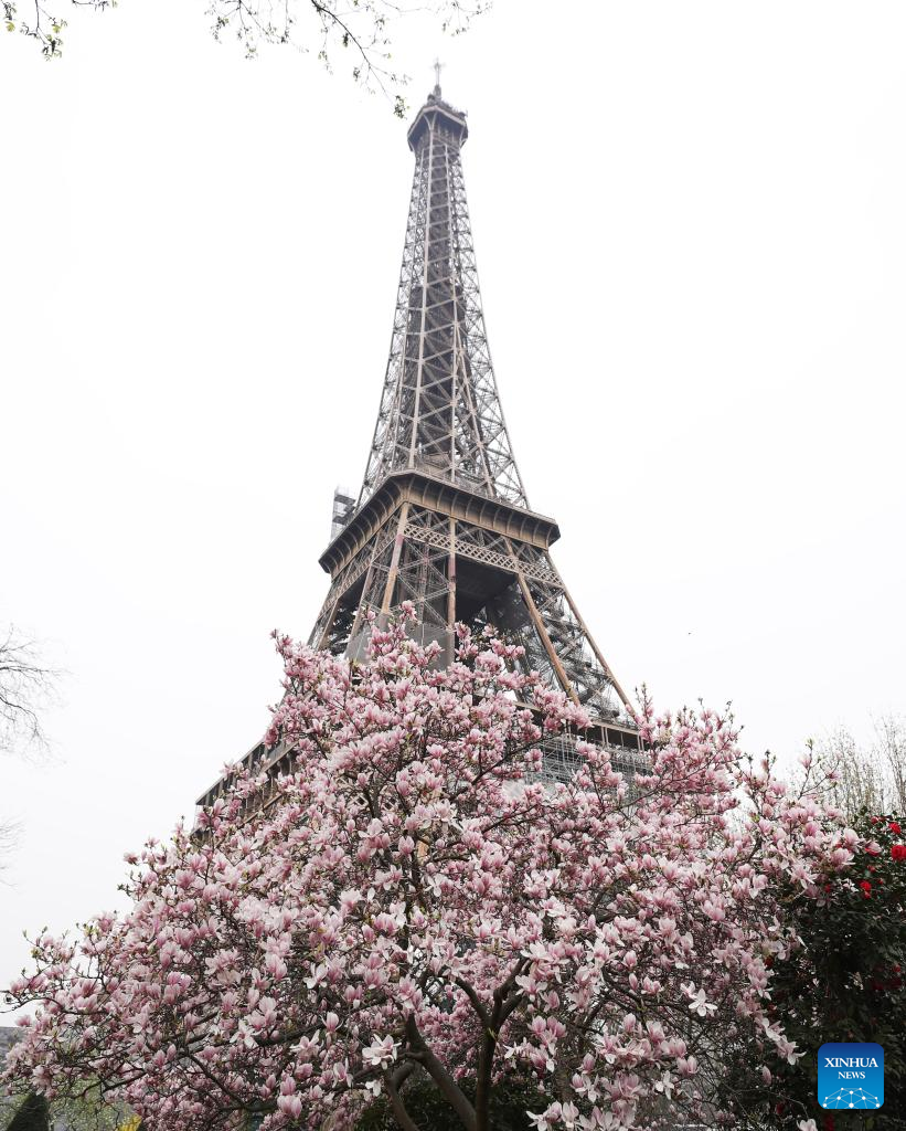 Spring scenery in Paris