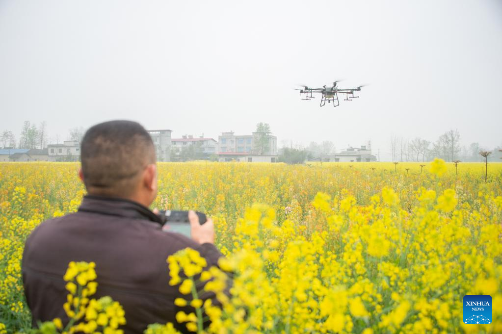 Farms a hive of activity across China