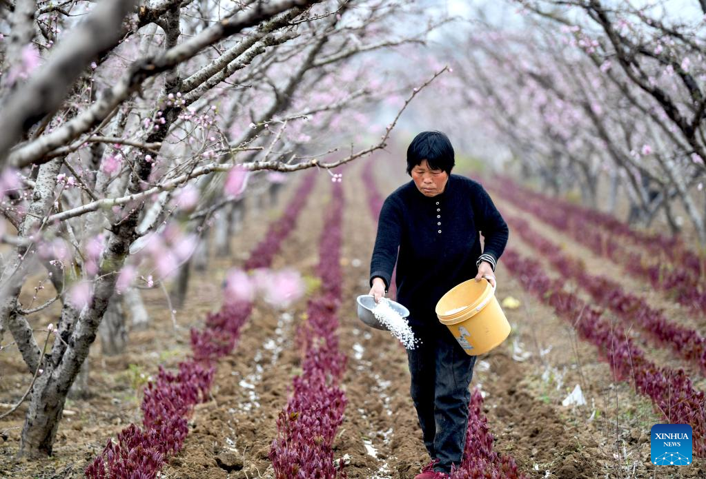 Farms a hive of activity across China