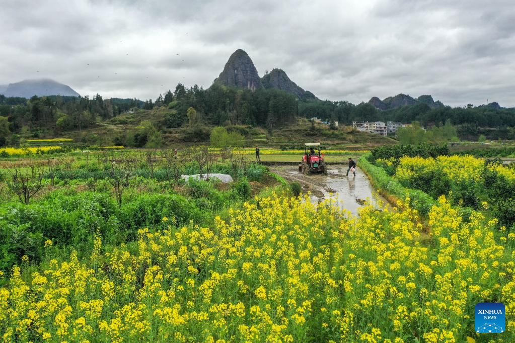 Farms a hive of activity across China