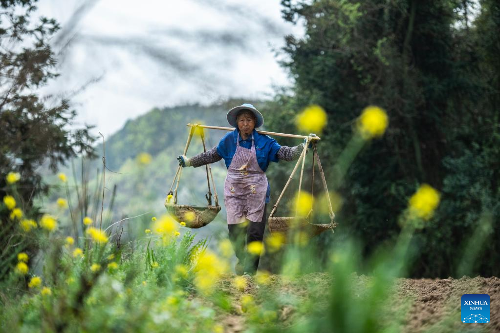 Farms a hive of activity across China