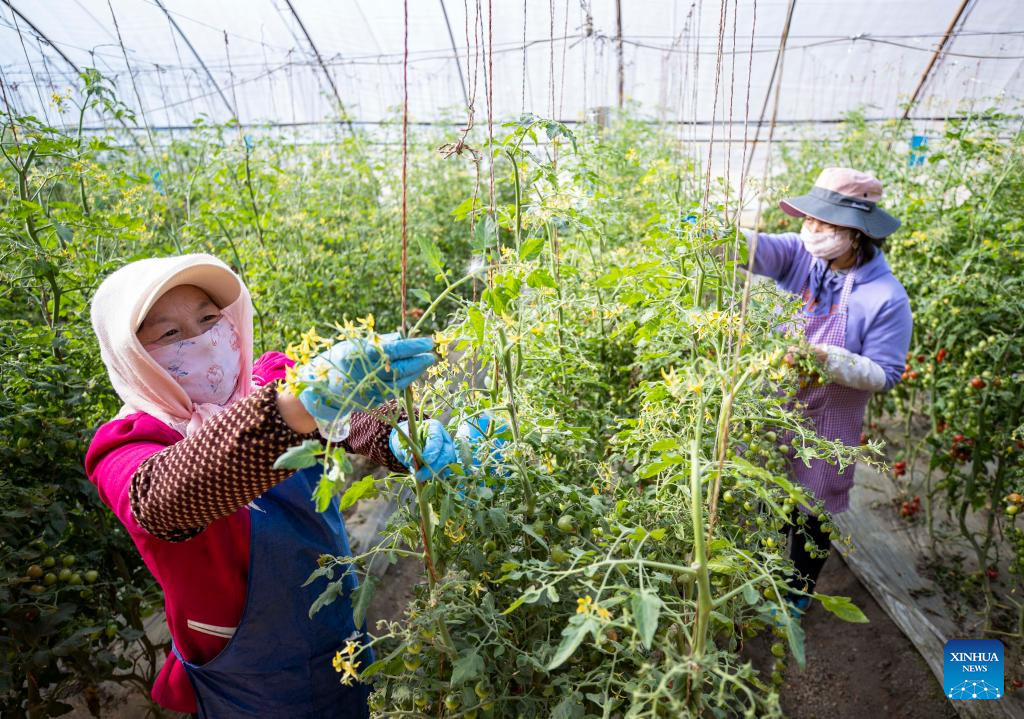Farms a hive of activity across China
