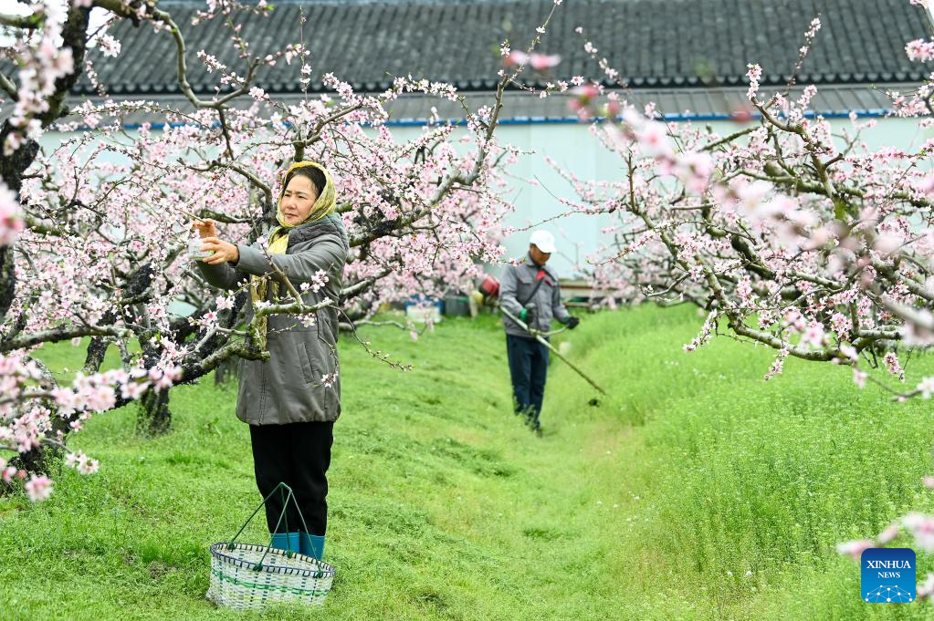 Farms a hive of activity across China