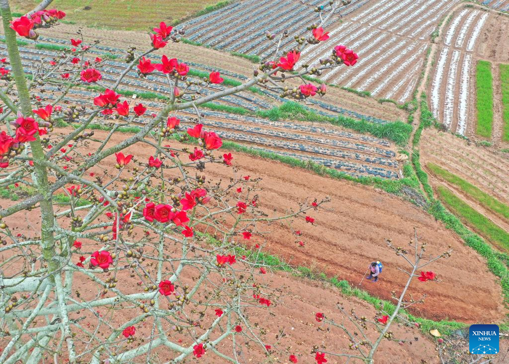Farms a hive of activity across China