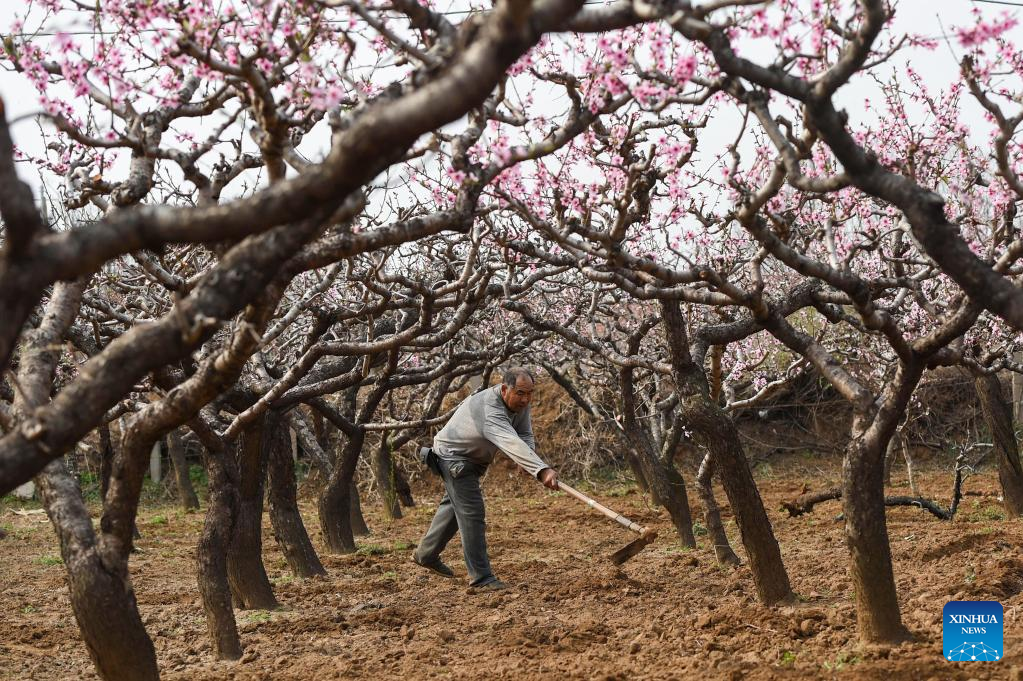 Farming activities in full swing across China
